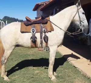 A Manta Muladeiro é ideal para viagens longas em mulas, oferecendo conforto durante a montaria. Manta Estradeira Abufalado: Montaria de primeira classe.