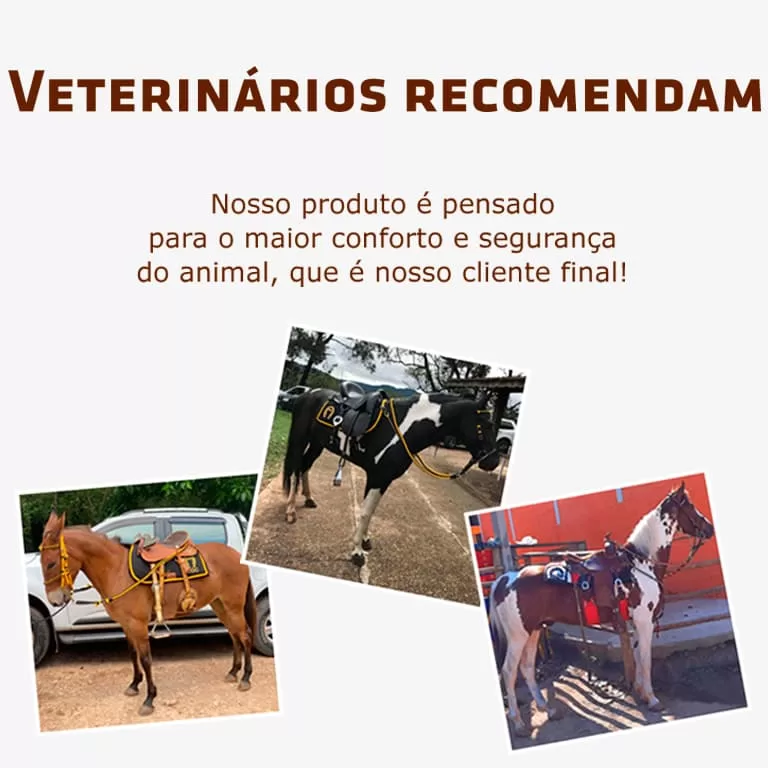 banner-index-veterinarios-mobile